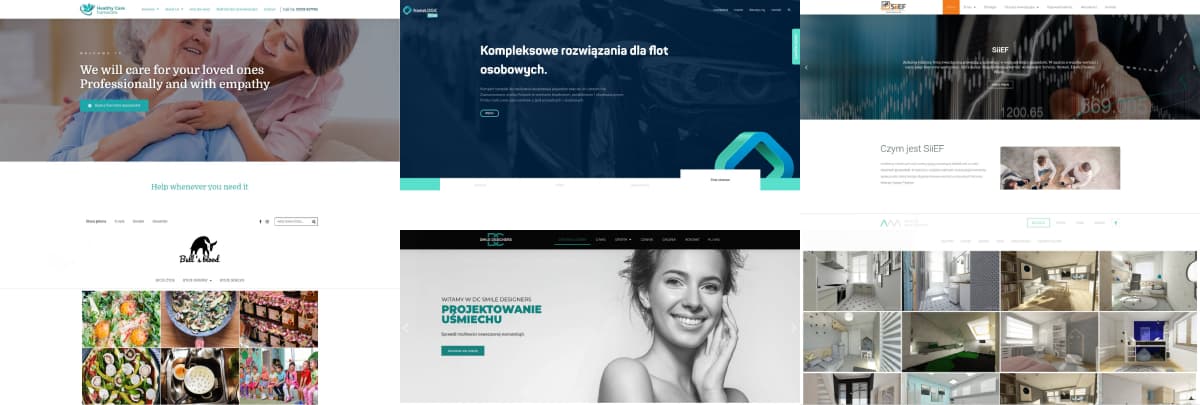Portfolio - nasze realizacje stron internetowych Wrocław